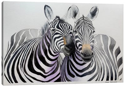 Zebras Cuddle Canvas Art Print - Lucia Kasardova