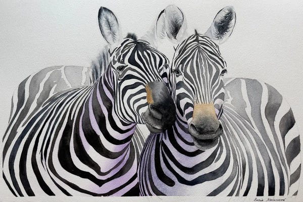 Zebras: Zebras Cuddle by Lucia Kasardova