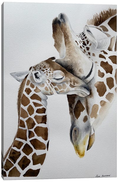Giraffe Cuddle Canvas Art Print - Lucia Kasardova