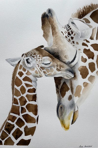 Lucia Kasardova: Giraffe Cuddle by Lucia Kasardova