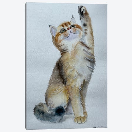 Playful Kitten Canvas Print #KDV22} by Lucia Kasardova Canvas Print