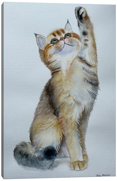 Playful Kitten Canvas Art Print - Lucia Kasardova