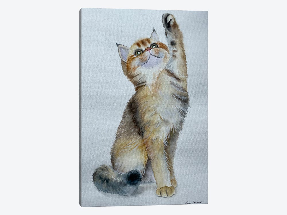 Playful Kitten by Lucia Kasardova 1-piece Canvas Print