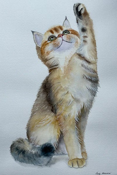 Kittens: Playful Kitten by Lucia Kasardova