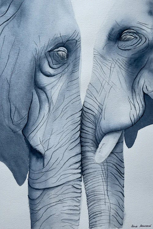 Elephant Love