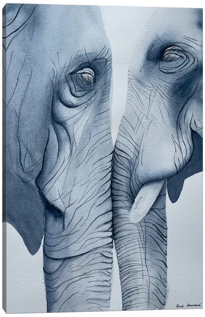 Elephant Love Canvas Art Print - Lucia Kasardova