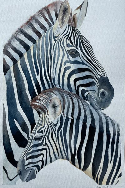Zebras Love by Lucia Kasardova art print