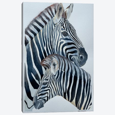 Zebras Love Canvas Print #KDV24} by Lucia Kasardova Canvas Wall Art