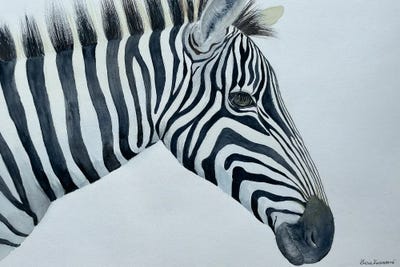 Zebra by Lucia Kasardova art print