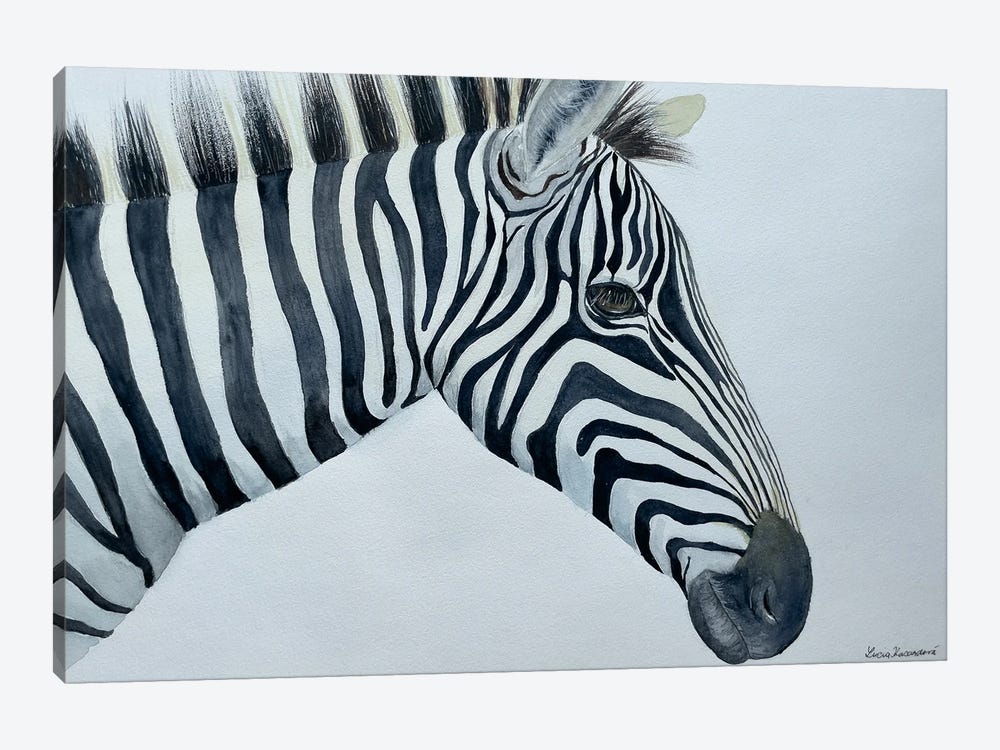 Zebra by Lucia Kasardova 1-piece Canvas Wall Art