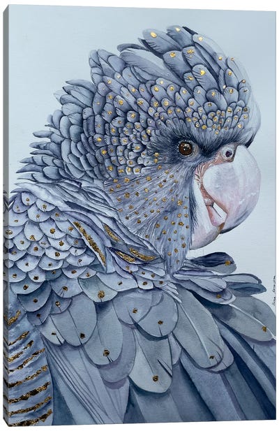 Black Cockatoo Canvas Art Print - Lucia Kasardova