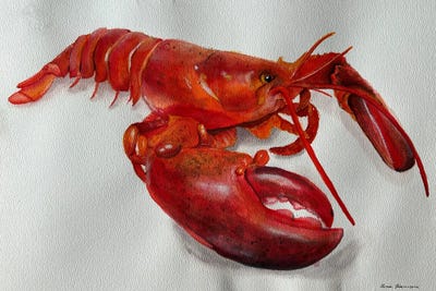 Happy Red Lobster by Lucia Kasardova framed canvas print