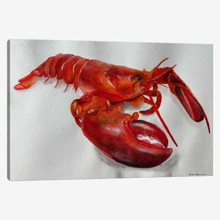 Happy Red Lobster Canvas Print #KDV29} by Lucia Kasardova Art Print