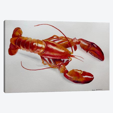 Red Lobster Canvas Print #KDV2} by Lucia Kasardova Canvas Print