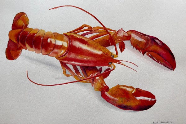 Lucia Kasardova: Red Lobster by Lucia Kasardova