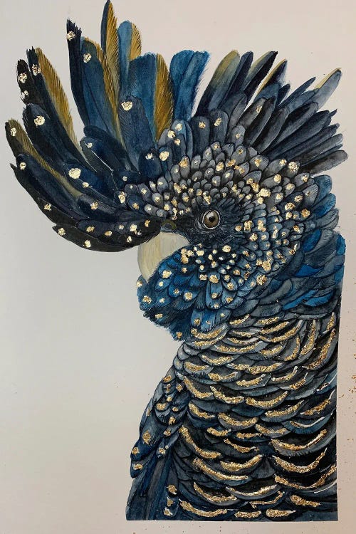 Black Blue Cockatoo