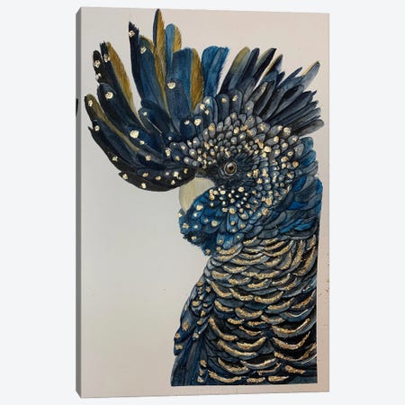 Black Blue Cockatoo Canvas Print #KDV30} by Lucia Kasardova Canvas Art