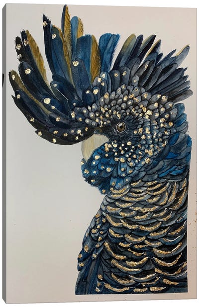 Black Blue Cockatoo Canvas Art Print - Lucia Kasardova