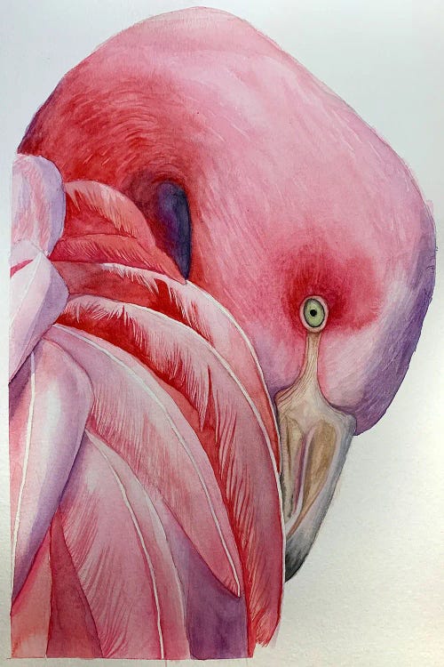 Pink Flamingo