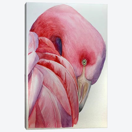 Pink Flamingo Canvas Print #KDV31} by Lucia Kasardova Canvas Wall Art