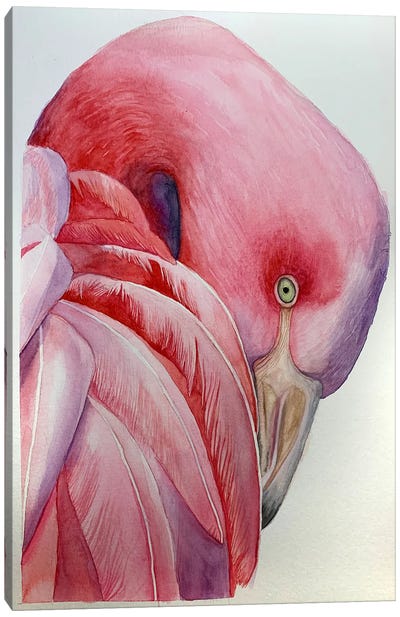 Pink Flamingo Canvas Art Print - Lucia Kasardova