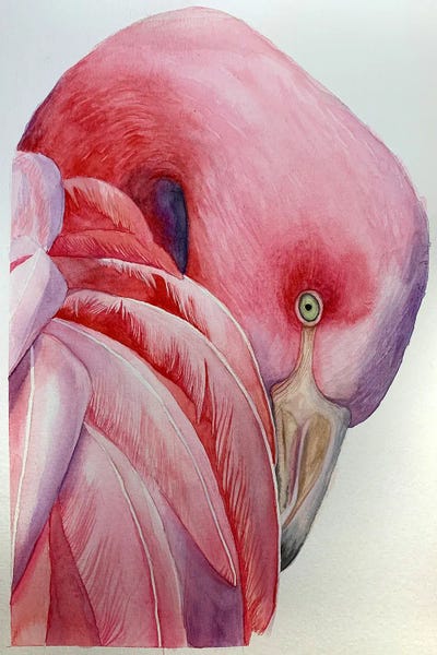 Lucia Kasardova: Pink Flamingo by Lucia Kasardova