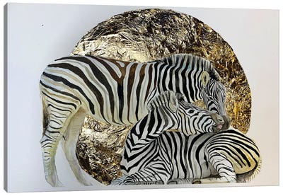 Zebra Love Canvas Art Print - Lucia Kasardova