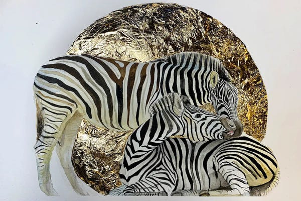 Zebras: Zebra Love by Lucia Kasardova