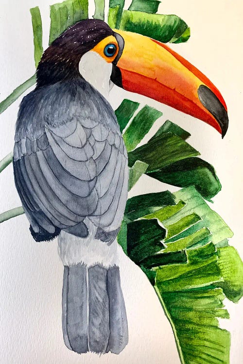 Happy Toucan by Lucia Kasardova wall art