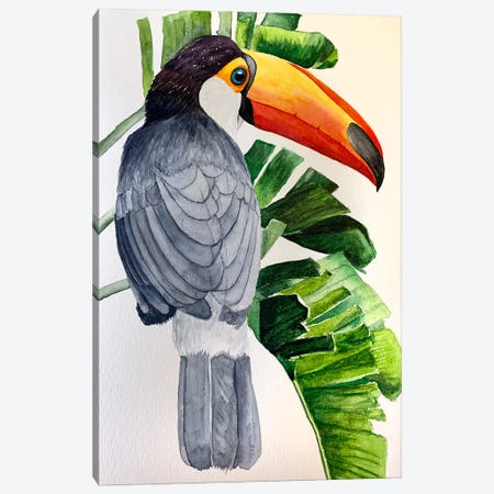 Happy Toucan Canvas Print #KDV33} by Lucia Kasardova Canvas Artwork