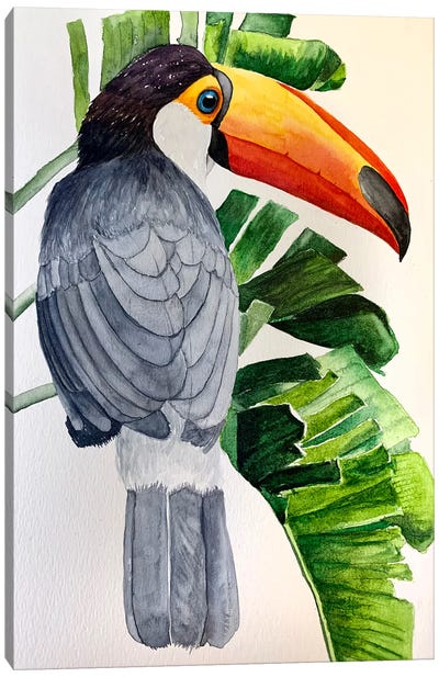 Happy Toucan Canvas Art Print - Lucia Kasardova