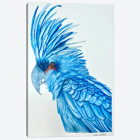 Blue Macaw Canvas Print #KDV34} by Lucia Kasardova Canvas Print