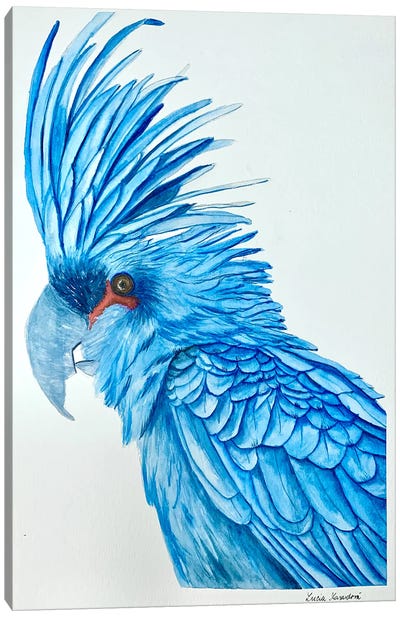 Blue Macaw Canvas Art Print - Cockatoo Art