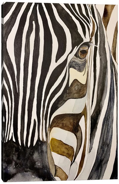 Zebra In The Sunset Canvas Art Print - Lucia Kasardova