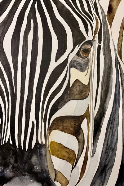 Zebras: Zebra In The Sunset by Lucia Kasardova