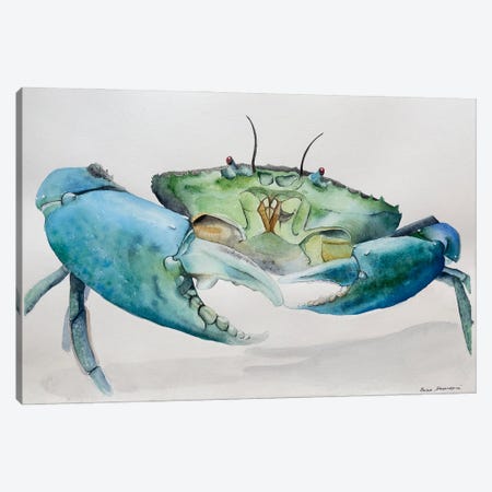 Blue Crab Canvas Print #KDV3} by Lucia Kasardova Art Print