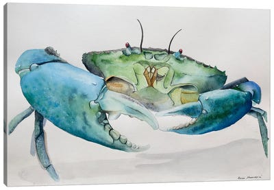 Blue Crab Canvas Art Print - Lucia Kasardova