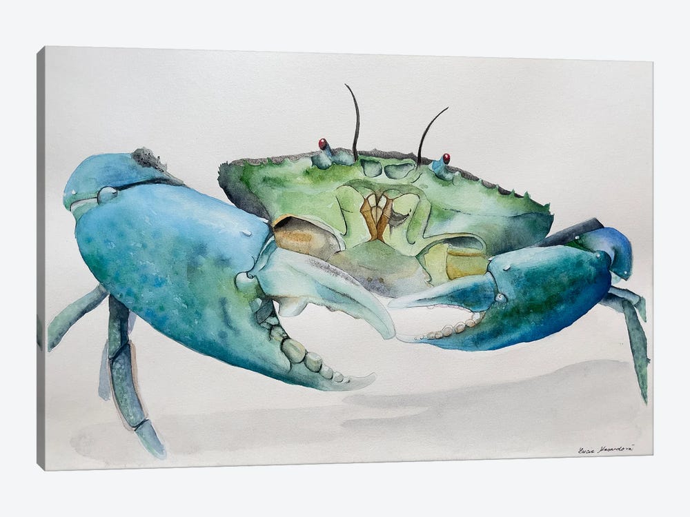 Blue Crab by Lucia Kasardova 1-piece Canvas Wall Art