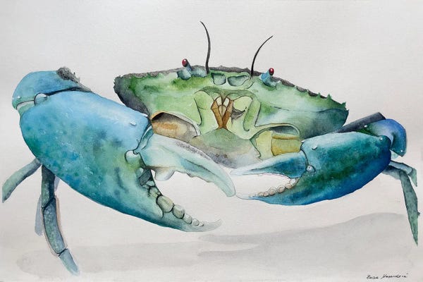 Crabs: Blue Crab by Lucia Kasardova
