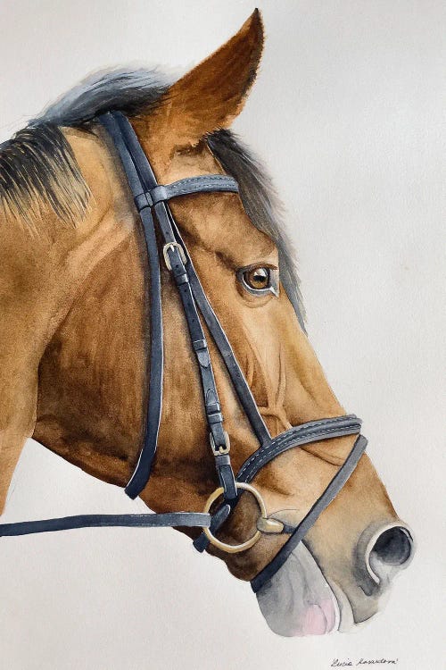 Happy Horse
