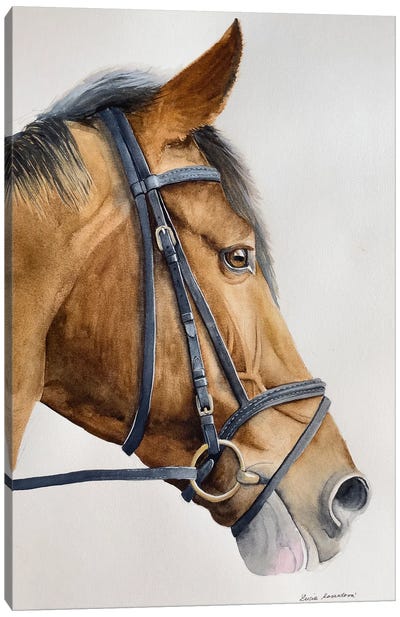 Happy Horse Canvas Art Print - Lucia Kasardova