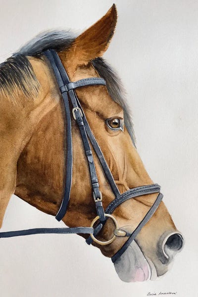 Lucia Kasardova: Happy Horse by Lucia Kasardova