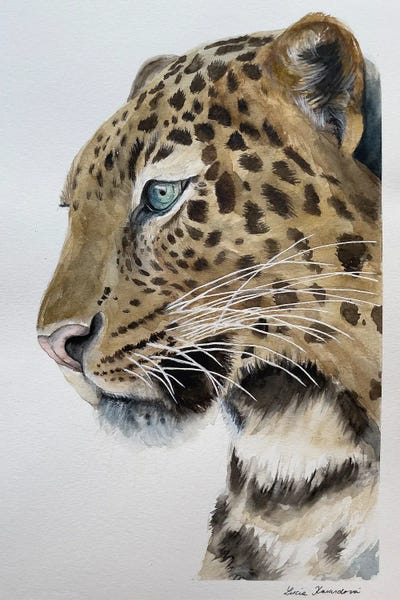 Lucia Kasardova: Leopard by Lucia Kasardova