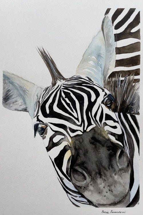 Zebra's Nose