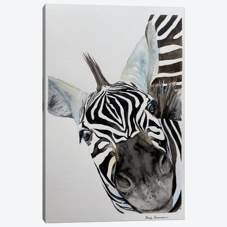Zebra's Nose Canvas Print #KDV7} by Lucia Kasardova Canvas Artwork