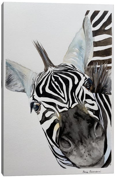 Zebra's Nose Canvas Art Print - Zebra Art