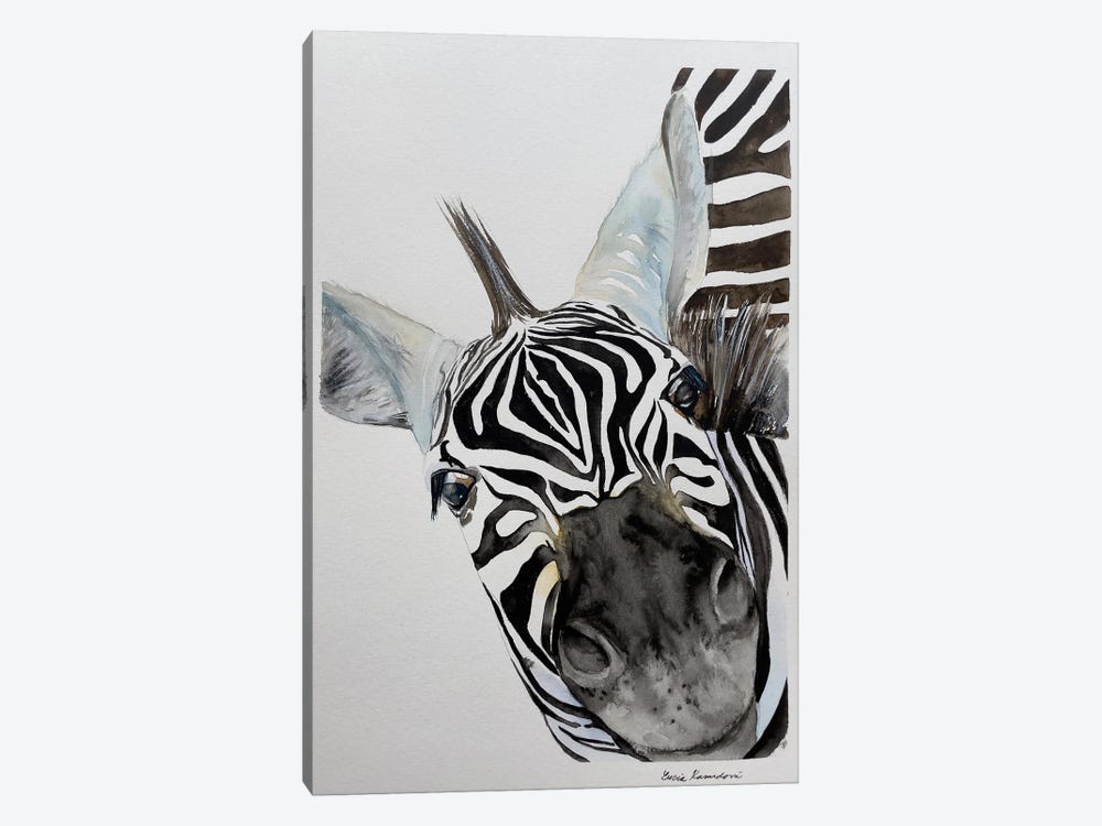 Zebra's Nose by Lucia Kasardova 1-piece Canvas Wall Art