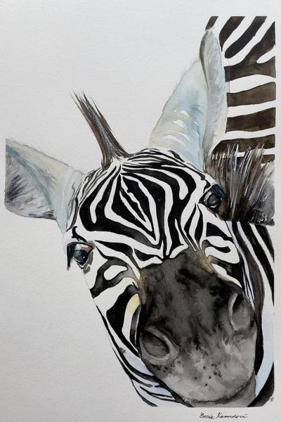 Lucia Kasardova: Zebra's Nose by Lucia Kasardova