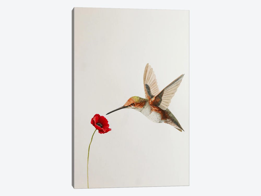 Hummingbird With Poppy by Karina Danylchuk 1-piece Canvas Art