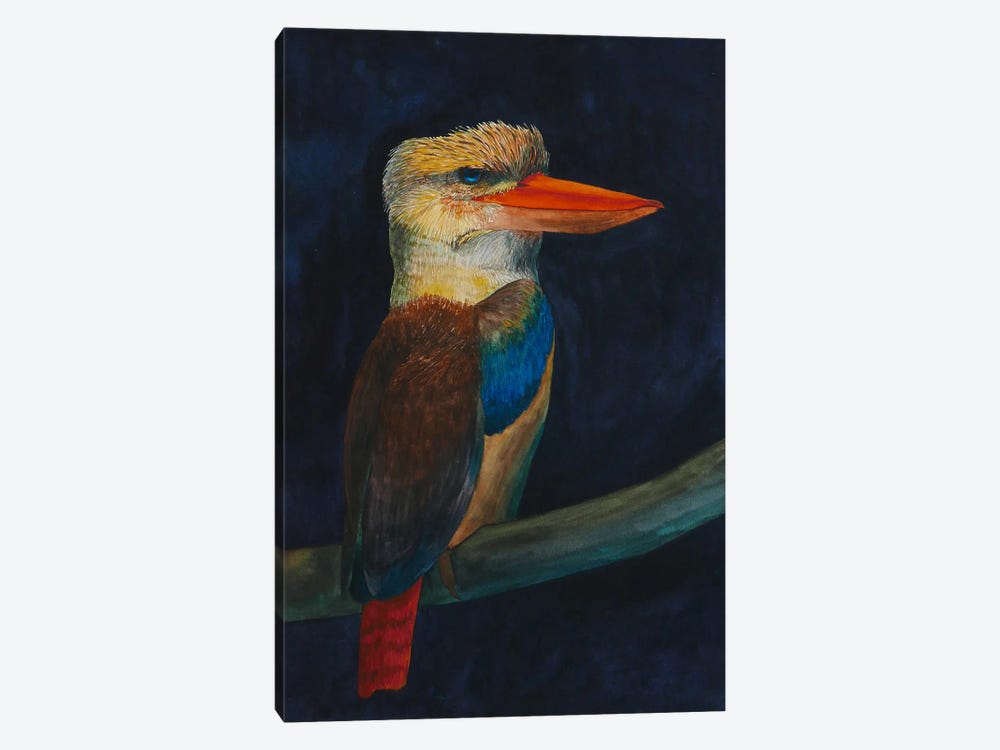 Kookaburra by Karina Danylchuk 1-piece Canvas Art Print